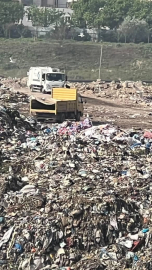 Osmangazi'de hayvan katliamı kenti ayağa kaldırdı