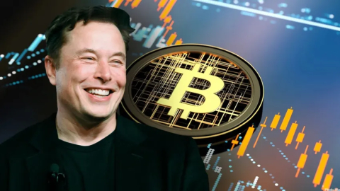 Elon Musk'tan yeni uyarı: Bu dolandırıcılığa dikkat edin