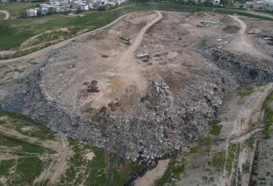 Osmangazi Belediyesi'ne ait köpek katliamı iddialarına tepki