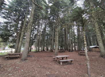 Uludağ'da 580 liraya 5 yıldızlı tatil başlıyor