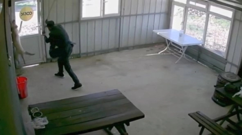 81 yaşındaki şahıs köpeğe dehşeti yaşattı!