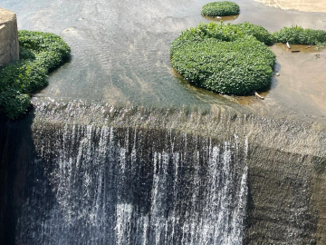 Bursa Büyükşehir Belediyesi kararlı! Nilüfer Çayı temizlenecek, müsilaj azalacak