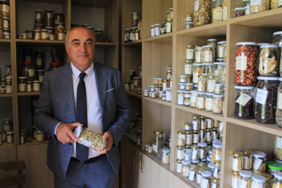 Nilüfer 'de yerel tohum akımı büyüyor