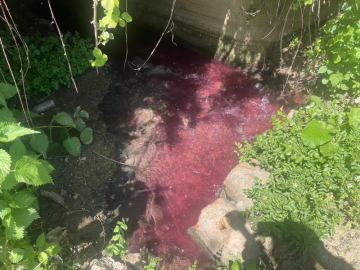 Turşu sulu renkli dereye çiftçiler de uzmanlar da tepkili