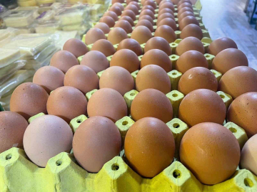 Yumurta kabuğu deyip geçmeyin sanayide çok değerli