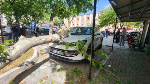 Bursa'da çınar ağacı lüks aracın üstüne düştü