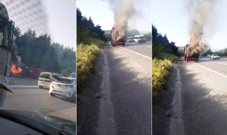 Bursa'da hayvan yüklü kamyon alevlere teslim oldu