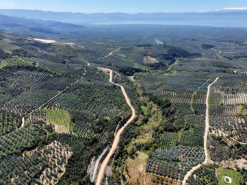 İznik Barajı bölgeye can suyu olacak