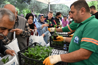 Sağlıklı gıdaya ulaşım için 50 bin fide ücretsiz dağıtıldı