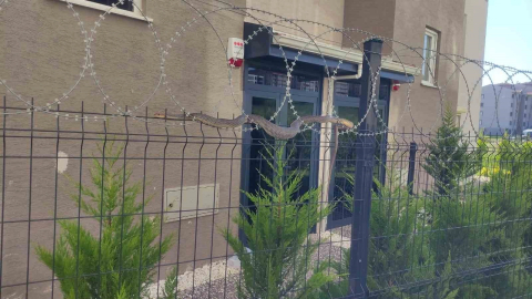 Bursa'da tellere dolanan 1,5 metre boyundaki yılan korkuttu
