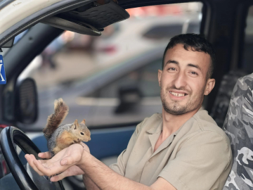 Sincap, hayatını kurtaran gencin peşinden ayrılmıyor