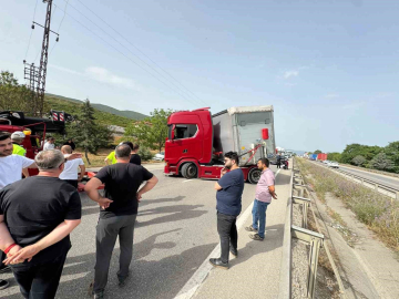 Bir arının yaptığına bakın! Tır sürücüsü şoka girdi...