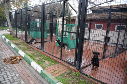 Bursa’da Hayvan Barınağı’na, ‘Çevik Kuvvet’ barikatı!