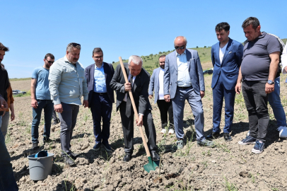 Nilüfer Belediyesi'nden Konaklı’ya 800 Zeytin Fidanı