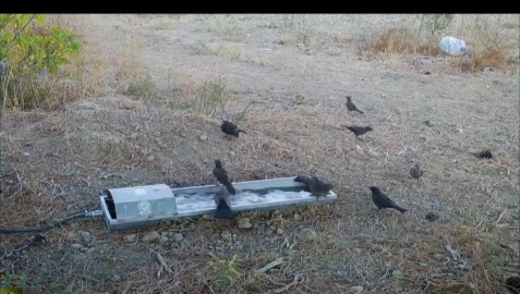 Doğanın içinde can suyu hizmeti