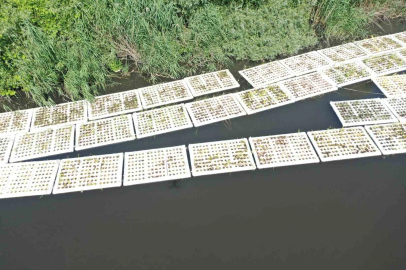 Marmara Denizi’ni besleyen derelerde "Yüzer Ada Projesi" hayata geçirildi