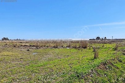 Tarlaya Ev Yapılır Mı? "Hayır" Diyen Kanunlar, "Evet" Diyen İstisnalar: İşte Yasal Süreçler!