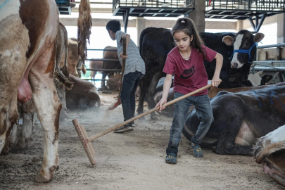 Henüz 8 yaşında... Hayvan pazarının en küçük satıcısı o