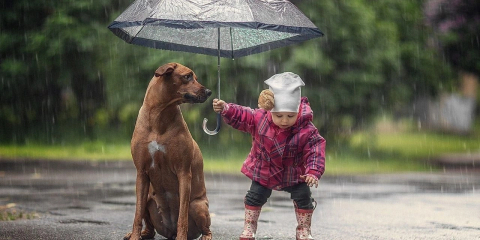 En merhametli burçlar onlarmış!
