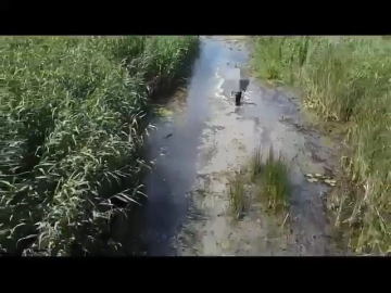 Sülük toplarken kaybolmuştu, dron hayatını kurtardı!