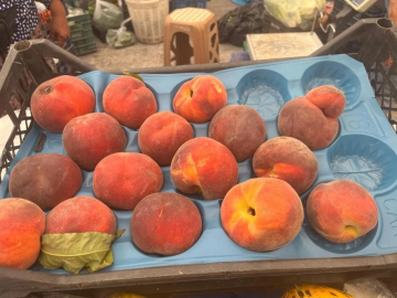 Dalında 50, tezgahta 100 lira: Bursa şeftalisi el yakıyor