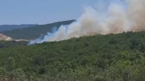 Bursa'da şehir merkezinde orman yangını!