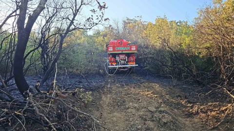 Bursa’da ormanlık alanda çıkan yangın kontrol altına alındı
