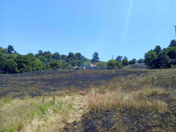 Dağyenice’de 25 dönüm küle döndü