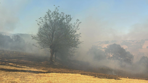 Bursa'nın iki bölgesinde orman yangını!