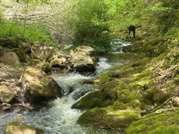 Sansarak Kanyonu doğa tutkunlarını bekliyor