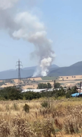 Bursa'nın o ilçesinde orman yangını