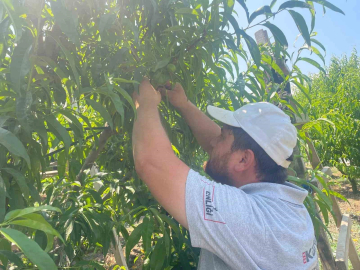 Günde 1200 lira kazanıyorlar