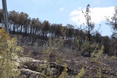 Bursa'da 7 dakikada bir yangın ihbarı geldi