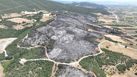 Yenişehir'de 500 futbol sahası büyüklükte alan kül oldu