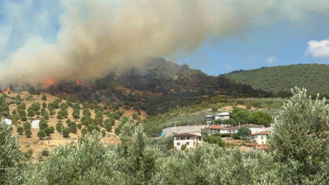 Bursa İznik’te büyük orman yangını