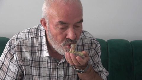 Bursa’da insanlık dersi: Güvercini ağzıyla besleyerek kurtardı