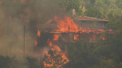 İzmir Çeşme'deki yangın kontrol altına alındı