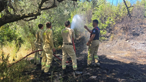 Yangına zamanında müdahale buğday tarlasını kurtardı