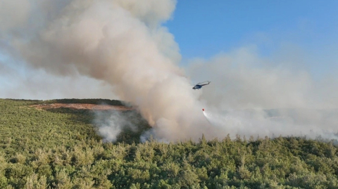 Bursa’da orman yangını