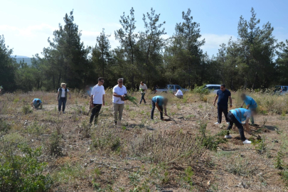Bursa'da hükümlüler, 15 Temmuz Şehitleri anısına fidan dikti
