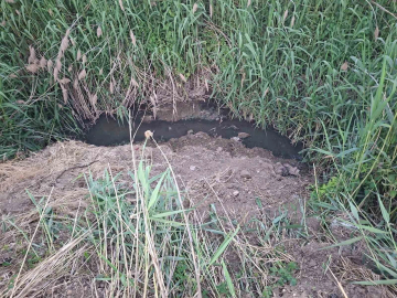 Bursa'da o dereye lağım suyu akıyor!