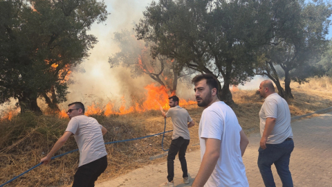 Bursa'da 20 zeytin ağacı yandı: 2 çocuk gözaltında