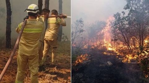 Yangında şehit olan ekibin son görüntüsü ortaya çıktı: Son anlarına kadar mücadele etmişler!