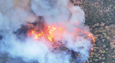 Bursa’daki orman yangınları büyüyor