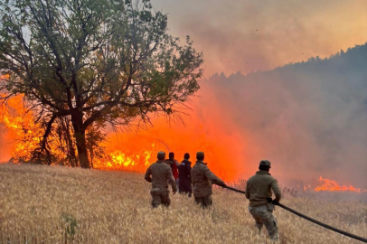 İznik’te orman yangını kontrol altına alındı