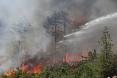 Ormanı yaktı, siyaseti de karıştırdı!