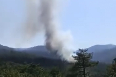 Harmancık'ta yangın yeniden başladı!