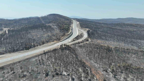 Başkan Bozbey: "10 bin futbol sahası kadar alanı kaybetmenin üzüntüsünü yaşıyoruz"