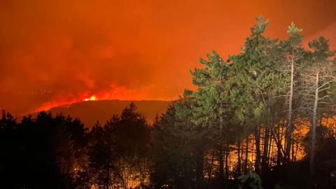 Yılın ilk 7 ayında toplam 4 bin 426 yangının çıktığı açıklandı