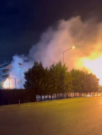 Çocukların torpille oyunu ağaçlık alanı tutuşturdu: Çok sayıda ağaç küle döndü